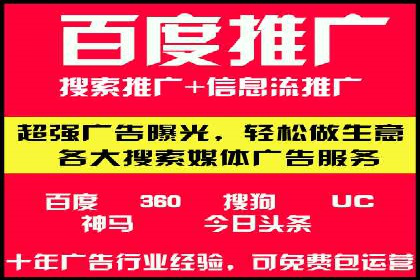 百度品牌专区推广的成效与案例